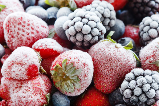 Alimentos Congelados